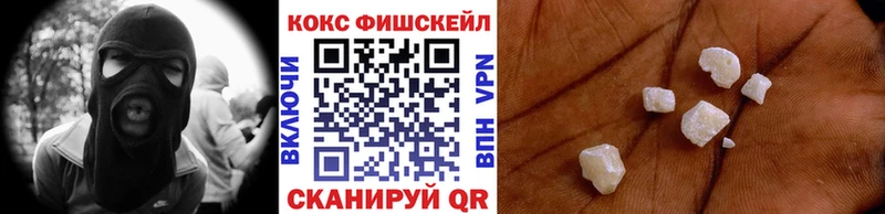 Купить закладки  Мезень  Кокаин FishScale 