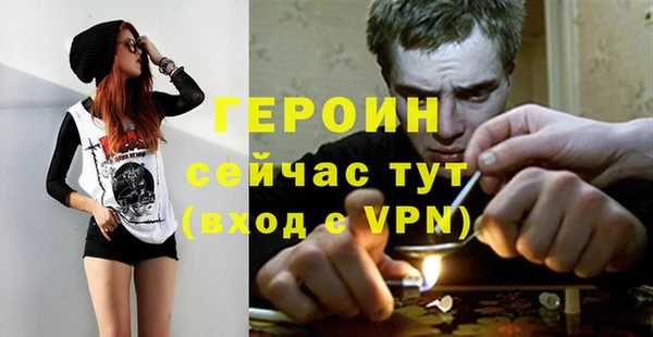 сатива Бородино