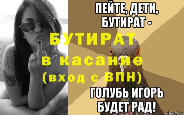 сатива Бородино