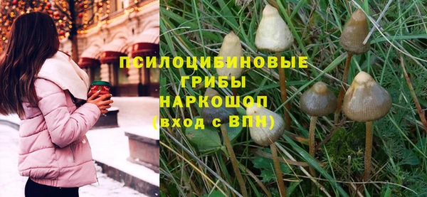 амф Бугульма