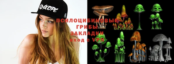 сатива Бородино