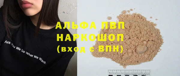 сатива Бородино