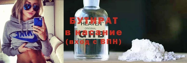 сатива Бородино
