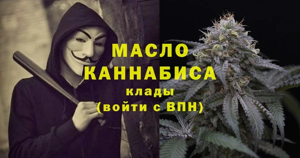 сатива Бородино