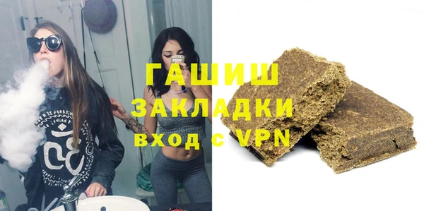 сатива Бородино