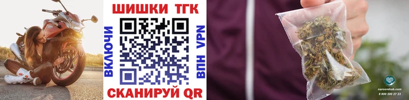 Конопля сатива  Купить где  Мезень 